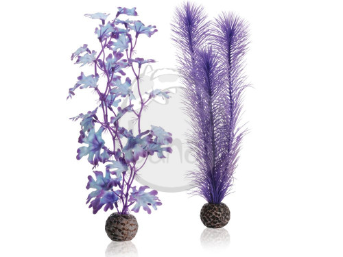 biOrb střední rostlina - fialový set