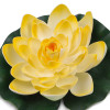 Žluto-bílý květ leknínu průměr 18 cm