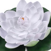 Bílý květ leknínu průměr 18 cm