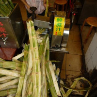 ochutnávka bambusové šťávy